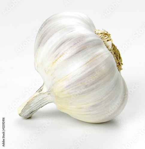 French Garlic Bulb 2