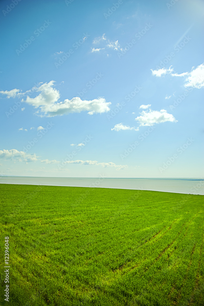 Fototapeta premium Green landscape and sea
