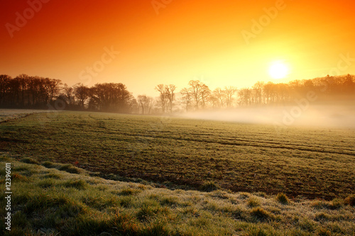 brume et brouillard  en bretagne morbihan