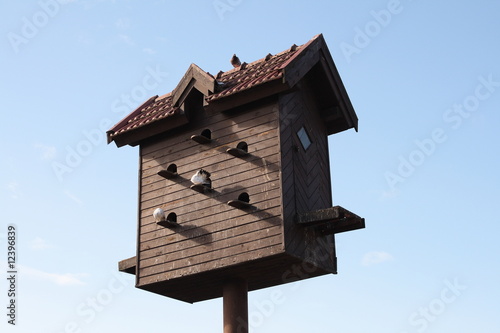 birds house