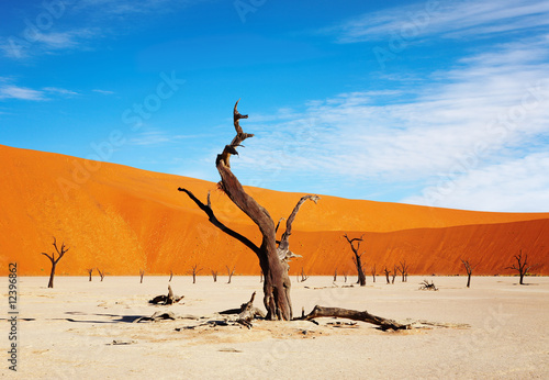 Namib Desert, Sossusvlei, Namibia