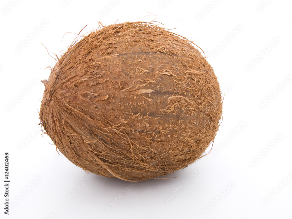 Coconut on a white background Coconut on a white background
