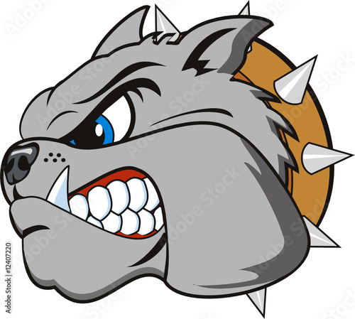 vector Bulldog head very angry