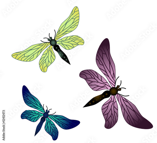 vector dragonflies