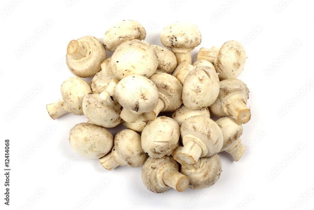 Heap of champignon mushrooms isolated on white background.