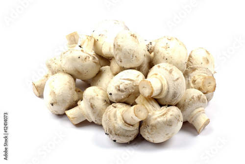 Heap of edible mushrooms isolated on white background with shado