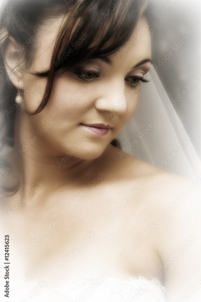 Fototapeta premium Beautiful Bride