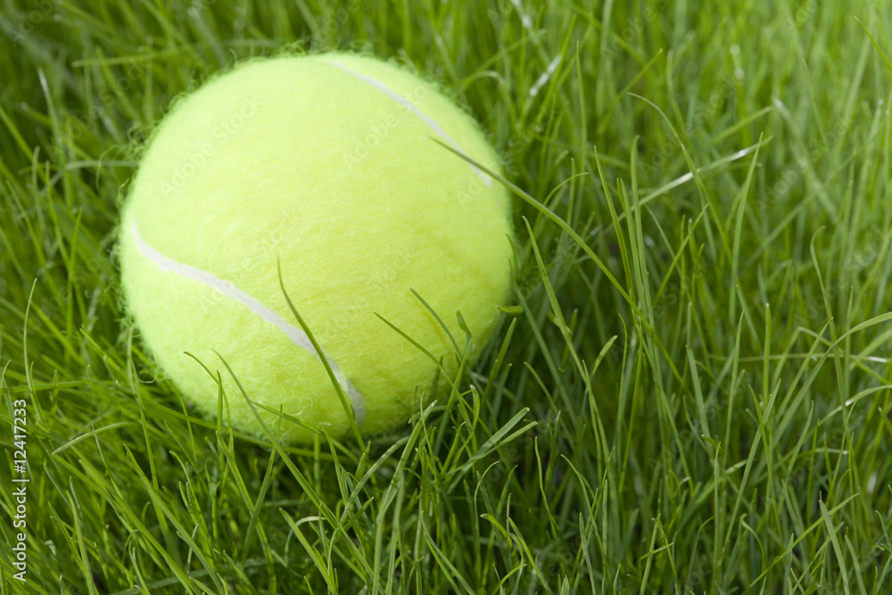 tennis ball & grass