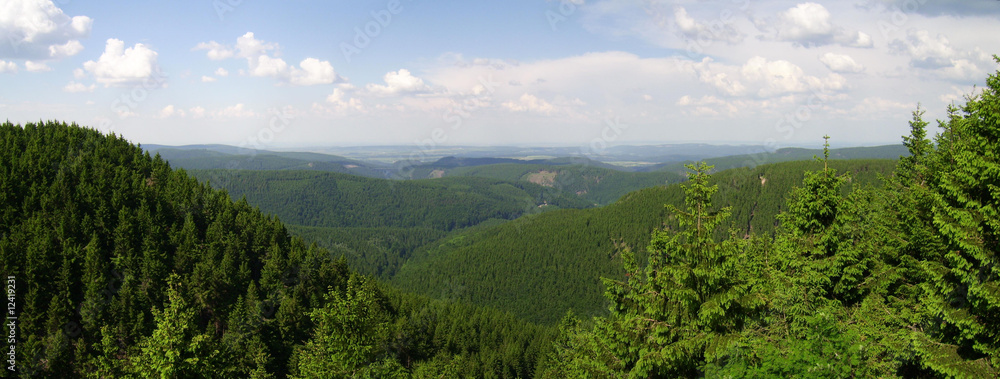 Fototapeta premium Thüringer Wald