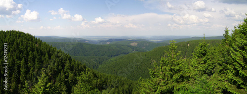 Thüringer Wald