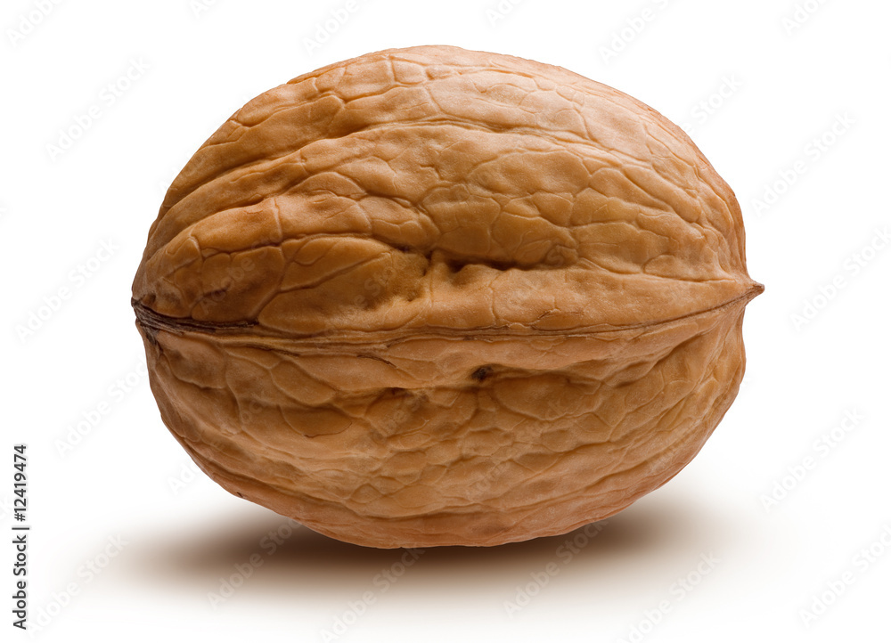 Walnut 1 Walnut 1