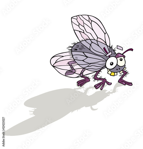 Illustration of funny fly insect