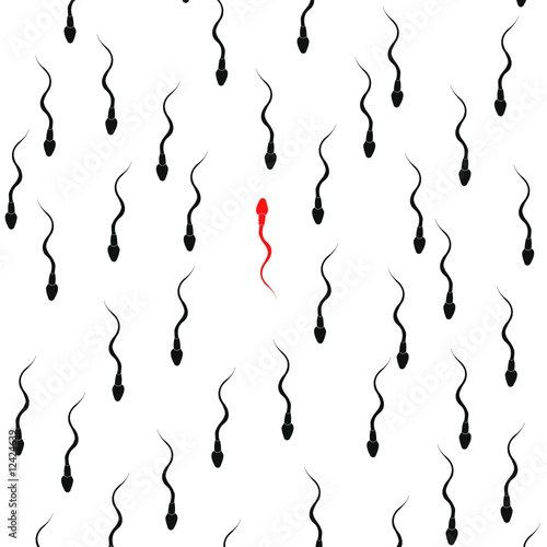 spermatozoides
