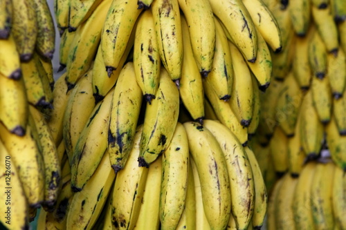 Régimes de bananes