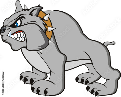 vector bulldog  very angry