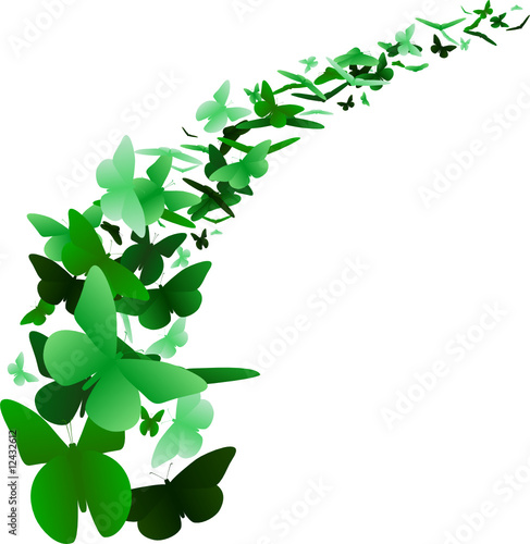 Green butterfly background