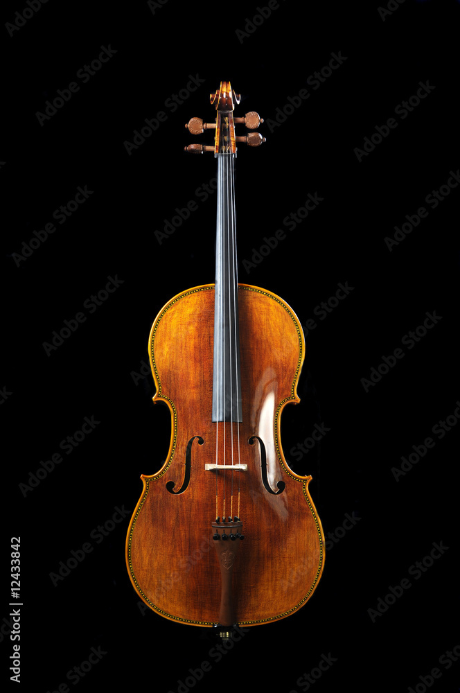 Obraz premium cello on a black background