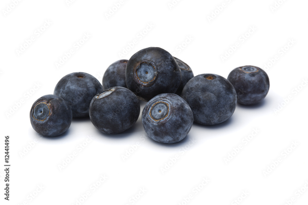 blueberries isolated blueberries isolated