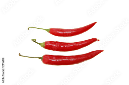 Hot chilli pepper