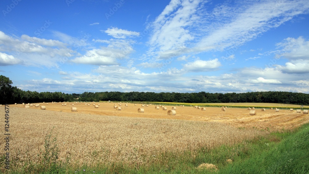 Obraz premium paysage campagnard