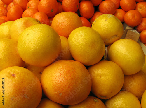 Grapefruits and oranges