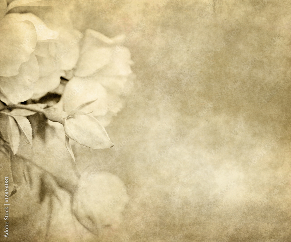 old paper with roses old paper with roses