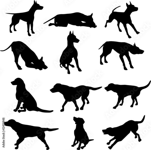 Dog Silhouettes