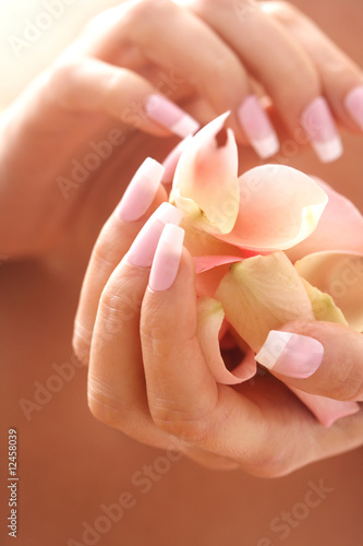 hands care. Female hands holding rose petals