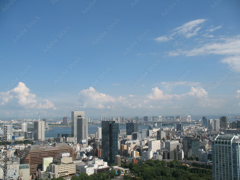 Obraz premium A helicopter view of Tokyo, Japan