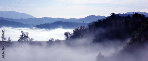 fog in mountain