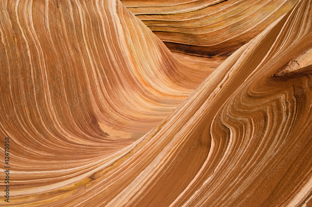 The Wave The Wave