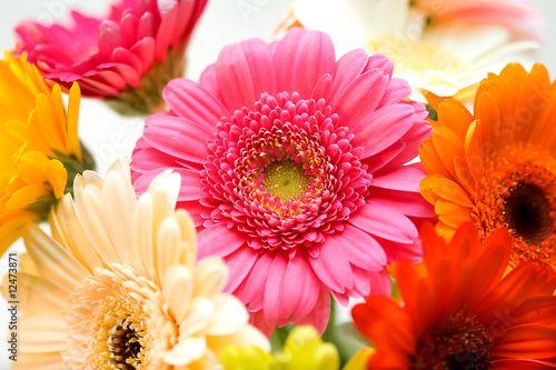 Bouquet of different colors flowers