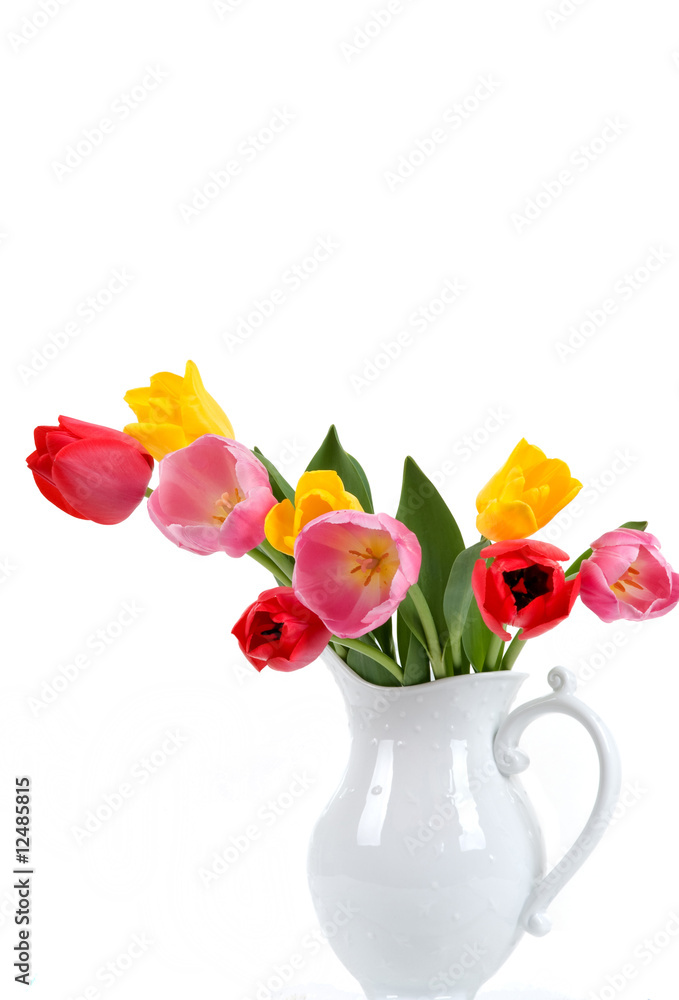 Obraz premium Beautiful Tulips
