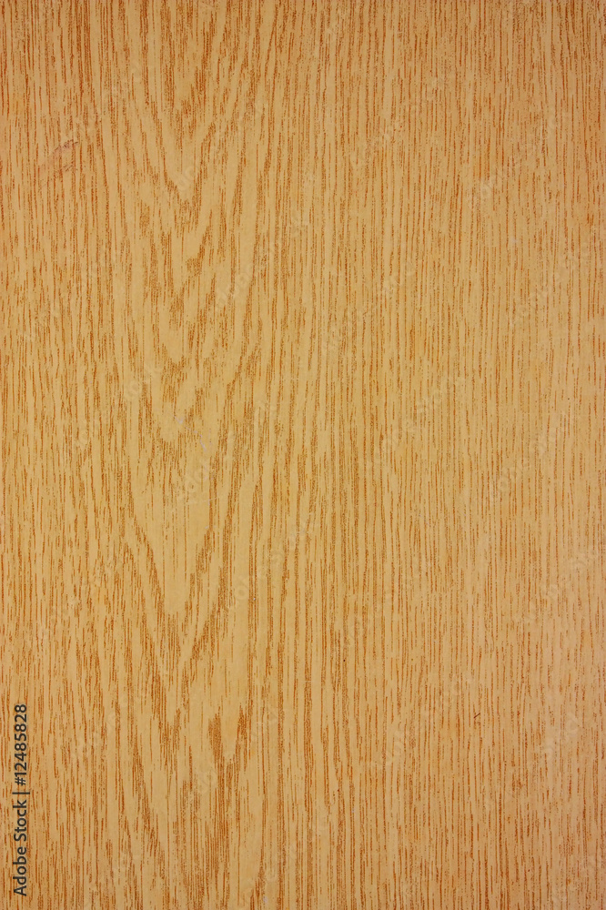 Wood texture Wood texture