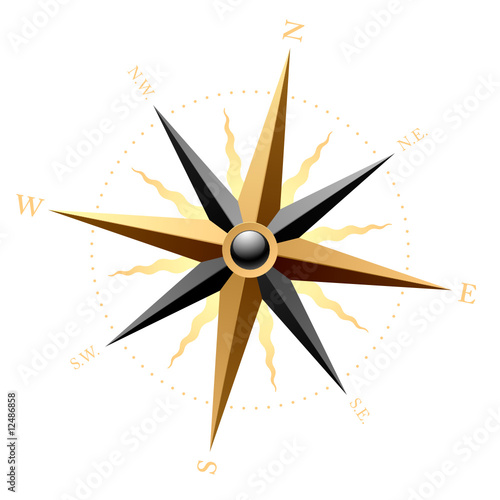 Vector wind rose