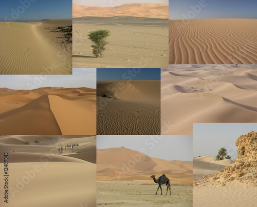 pêle-mêle de photos de dunes et déserts