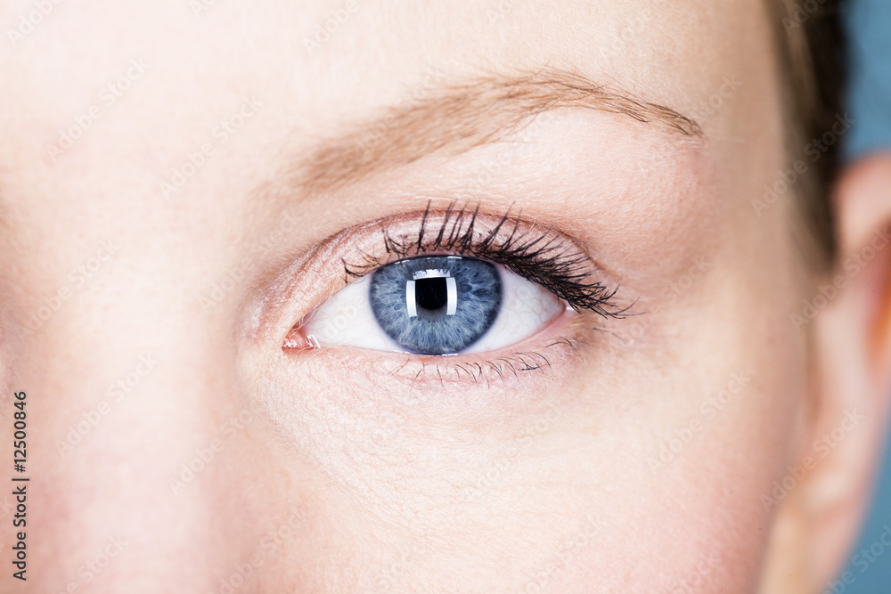 Naklejka premium beauty3272