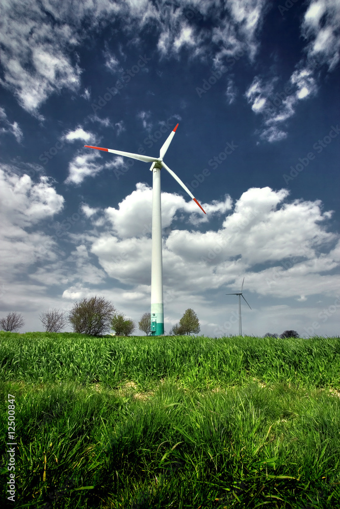 Fototapeta premium windrad mit wiese