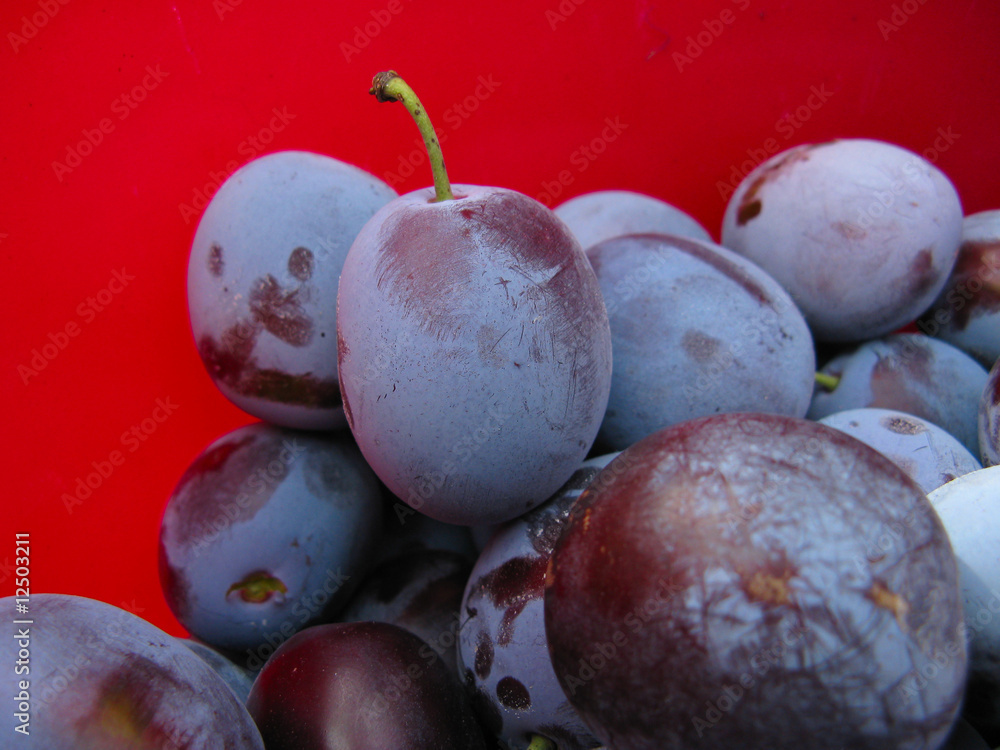 Obraz premium Plums3