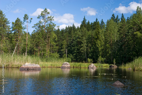 Beautiful forest lake