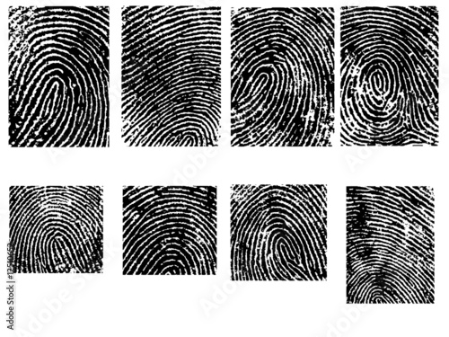 8 Fingerprint Crops