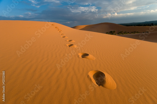 Footprints, Coral Pink Sand Dunes