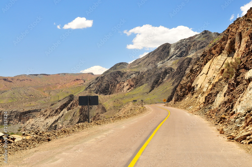 Curved road in western Argentina