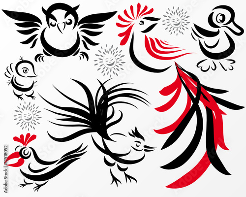 Set of various birds