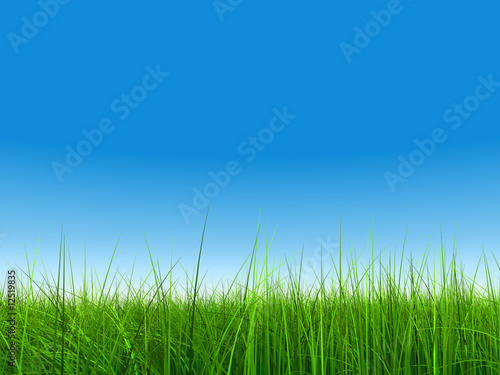 green grass over a clear blue sky without clouds as background