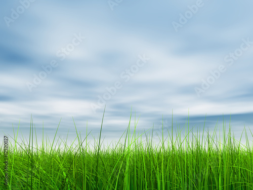Fototapeta Naklejka Na Ścianę i Meble -  green grass over a blue sky with white clouds as background