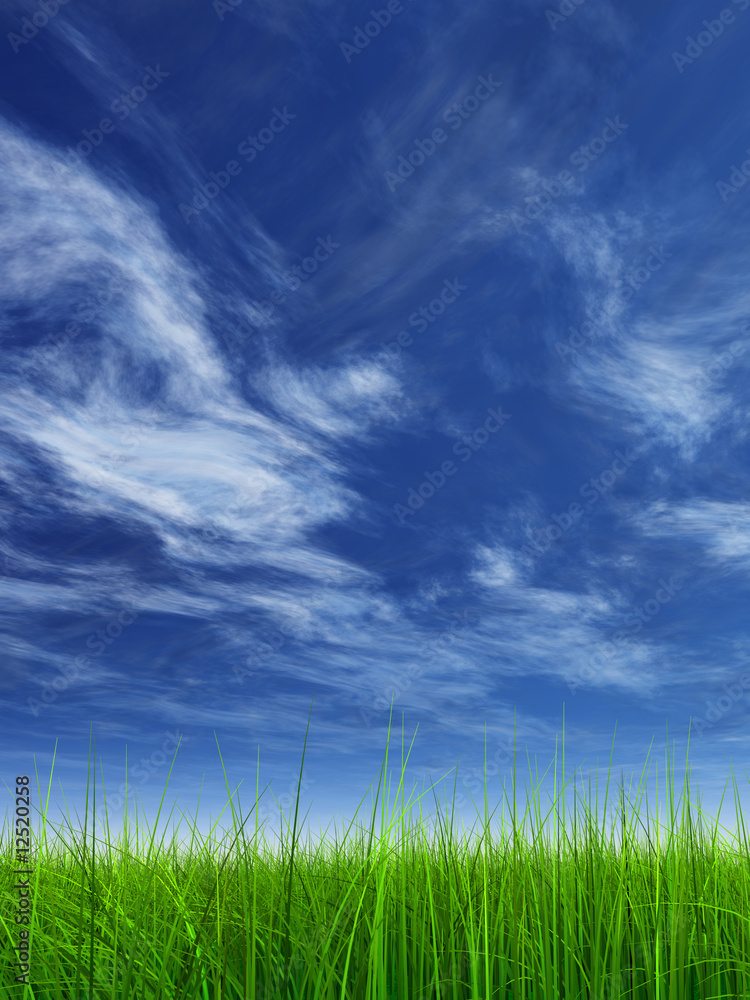 green grass over a blue sky with white clouds as background green grass over a blue sky with white clouds as background