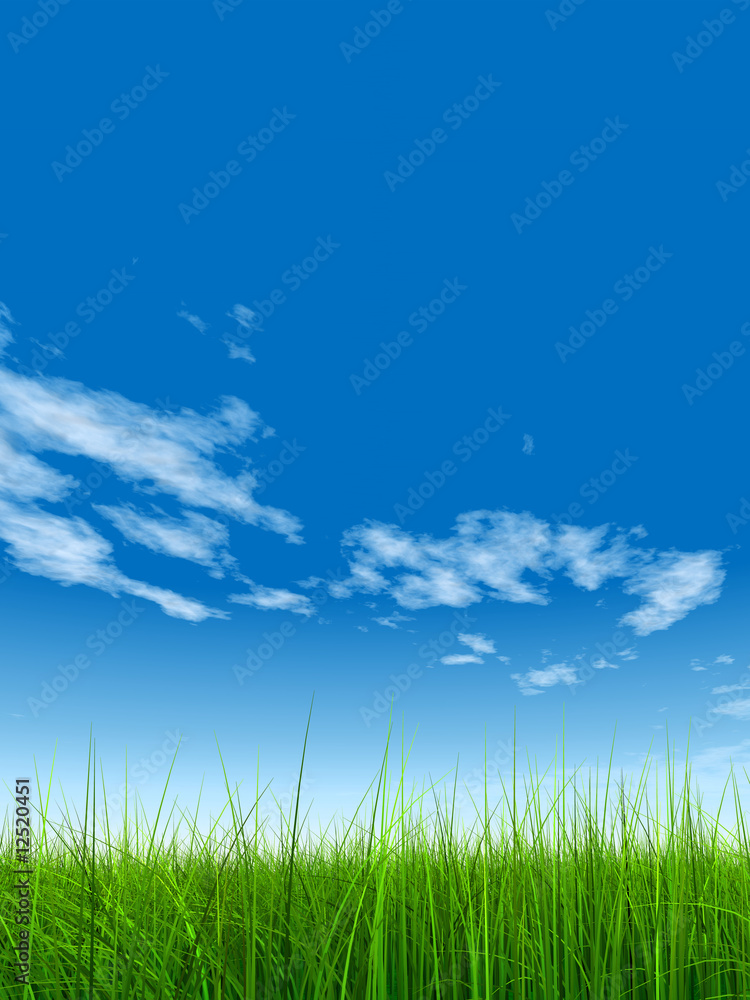 green grass over a blue sky with white clouds as background green grass over a blue sky with white clouds as background