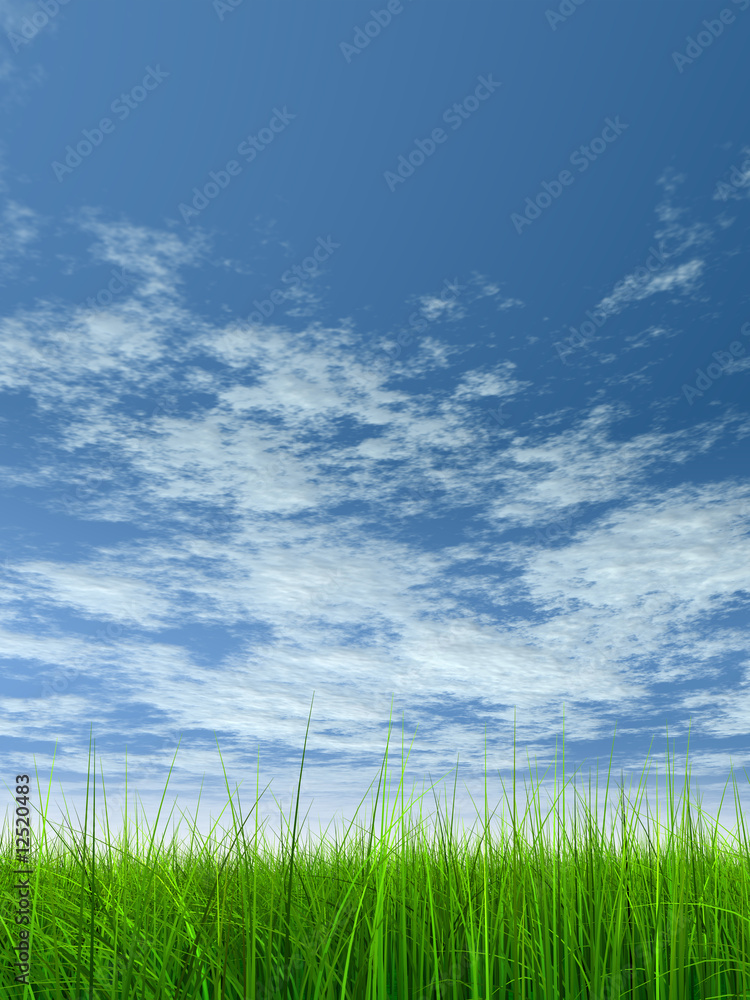 green grass over a blue sky with white clouds as background green grass over a blue sky with white clouds as background