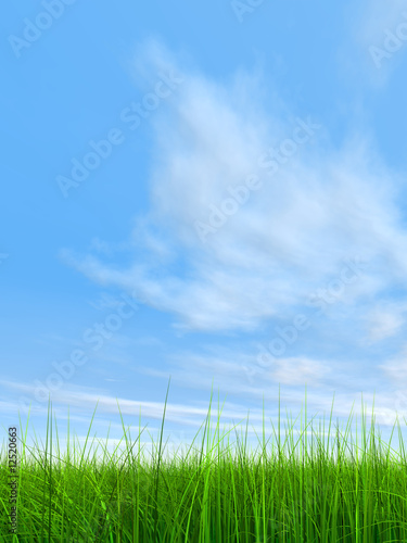 green grass over a blue sky with white clouds as background